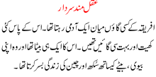Aqal Mand Sardaar