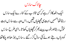 Chalak Saurse