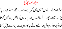 Hirn Aur Chiria