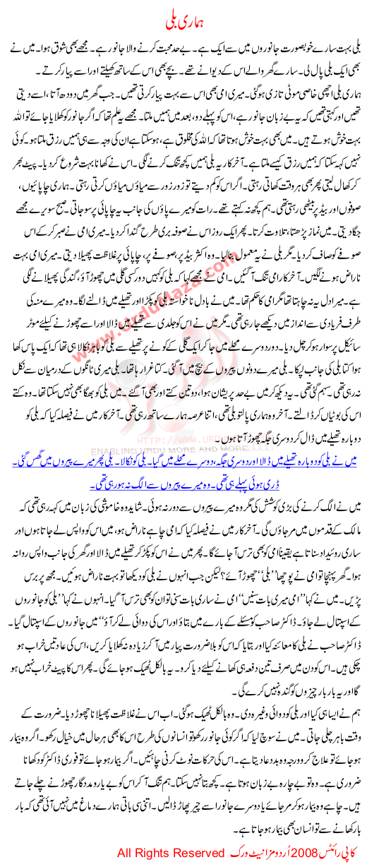 Hamari Billi A Story For Kids In Urdu