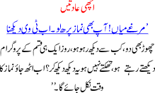 Good Habits A Story Of A Family Of Chicken For Children And Young Boys In Urdu Chicken Was Very Lazy While Her Wife Kept