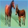 Urdu stories for kids Horse and Donkey