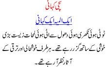 A Tragic True Urdu Story Of Parents Who Lost Their Young Son Basharat In A Savarage Opening By Wasa
