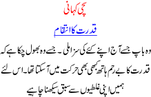 True Pakistani Stories In Urdu Nature Revenge A Story Of Ill Minded Person Who Burnt A Cat Alive