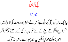 Urdu Stories Of Pakistani Community A Story About Wedding Son With A Rich Bride