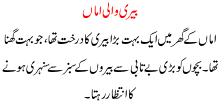 Urdu Stories For Kids And Children Bairi Wali Amma
