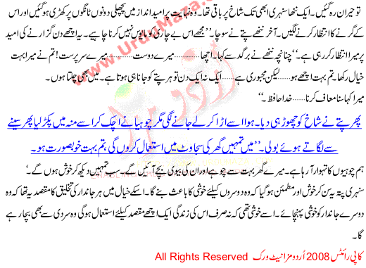 Kids Story Golden Leaf