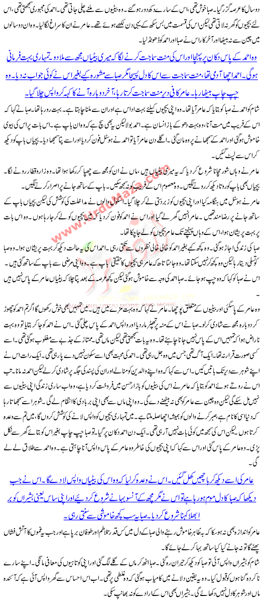 True Story Of A Pakistani Woman Who Killed Her Busband And His Wife Who Tortured Her All Life