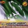 Aarzoo A sad story of present situation in pakistann