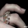 Ring of the Princess