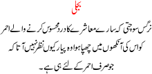 Bijli A Story Of Author Who Was Worried About His Country