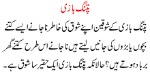 Patang Bazi