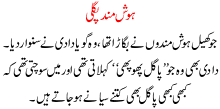Hosh Mand Pagli