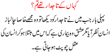 Kahan Kay Taajdaar Thay Tum