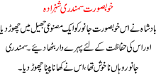 Khoobsoorat Sumandri Sehzada