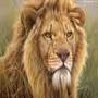 shair dil 