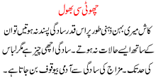 Choti Si Bhool