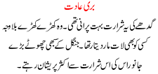 Buri Aadat