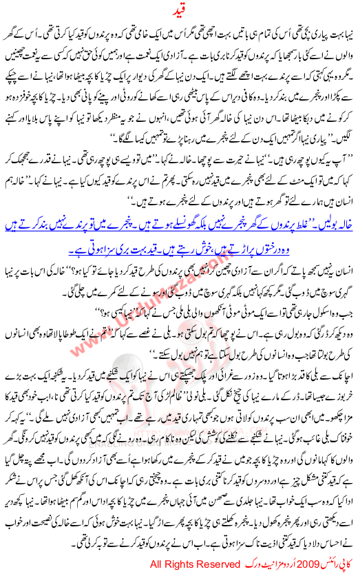 Qaid