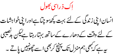 Ik Zara Si Bhool