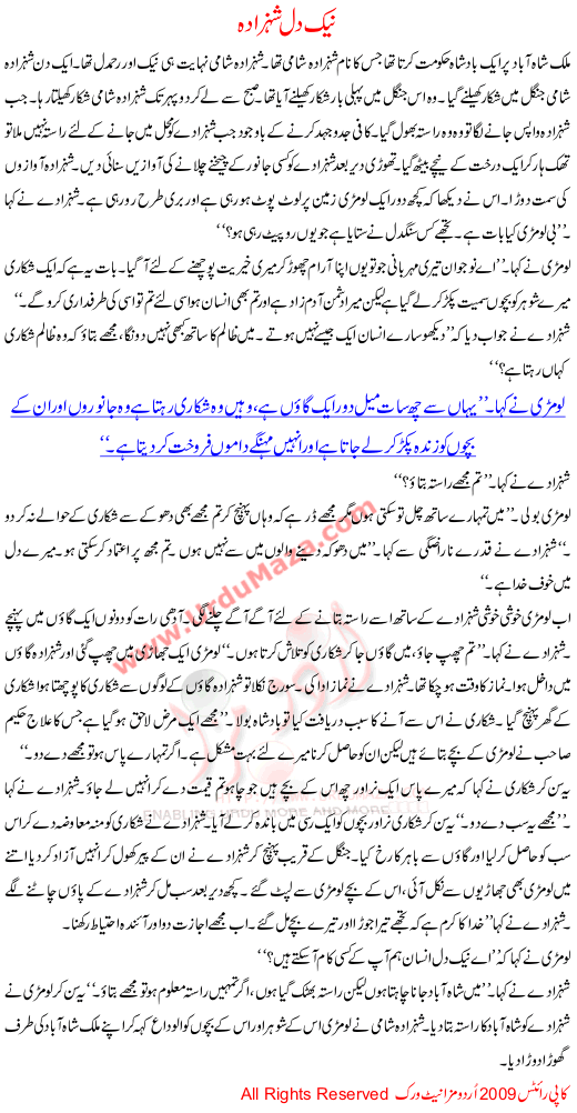 Naik Dil Shehzada