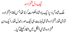 Naik Dil Shehzada