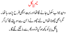 Neem Pagal