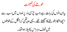 Totay Ki Naseehat