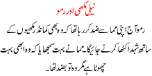 Neeli Makhi Aur Ramu , A Children Story