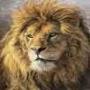 Darpok sher