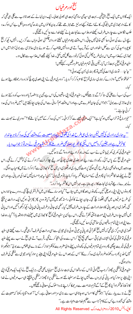 Duck And Hen - A Special Urdu Kahani For Children