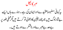 Sabar Ka Phal - A Moral Urdu Kahani