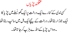 Aqlalmand Chirya