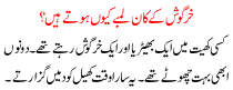 Khargosh K Kan Lambe Kyo Hote Hai