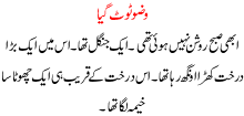 Wazu Toot Gya