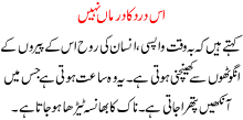 Is Dard Ka Darmaan Nahi