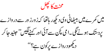 Mehnat Ka Phal