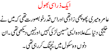 Ik Zara C Bhool