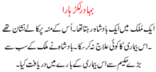 Bahadur Larka