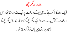 Bandr Aur Magrmach