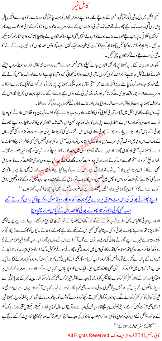 Kahil Shair