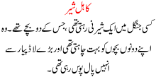 Kahil Shair