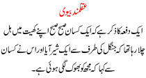 Aqalmand Bivi