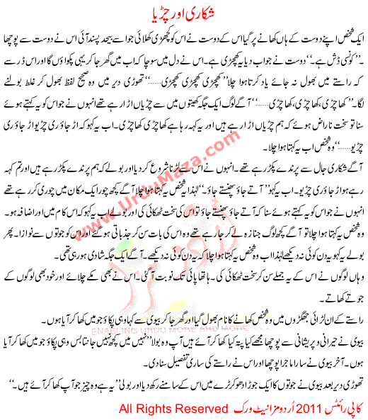 Hunter And Bird Urdu Story For Kids