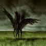 umro ayyar or umro ayar and Magic Horse urdu kahaian online