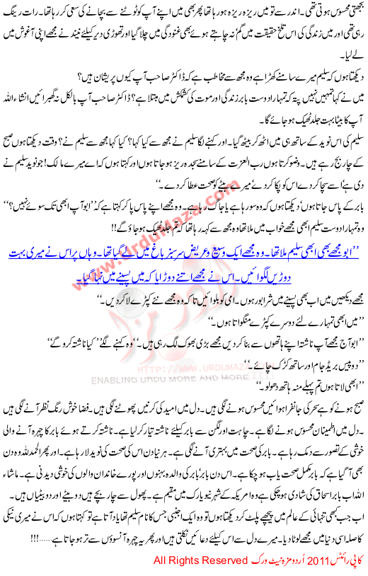Seher Honay Tak