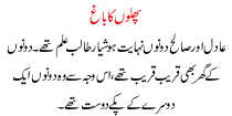 Phalo Ka Bagh