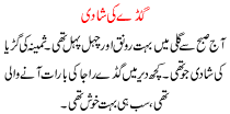 Urdu Story For Children Gudday Ki Shadi