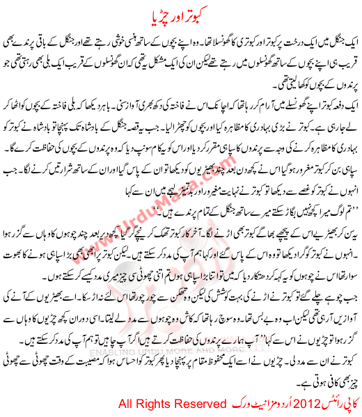 Kabootar Or Chirya