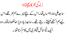 Urdu Kahani Zindagi Bhar Ka Pachtawa
